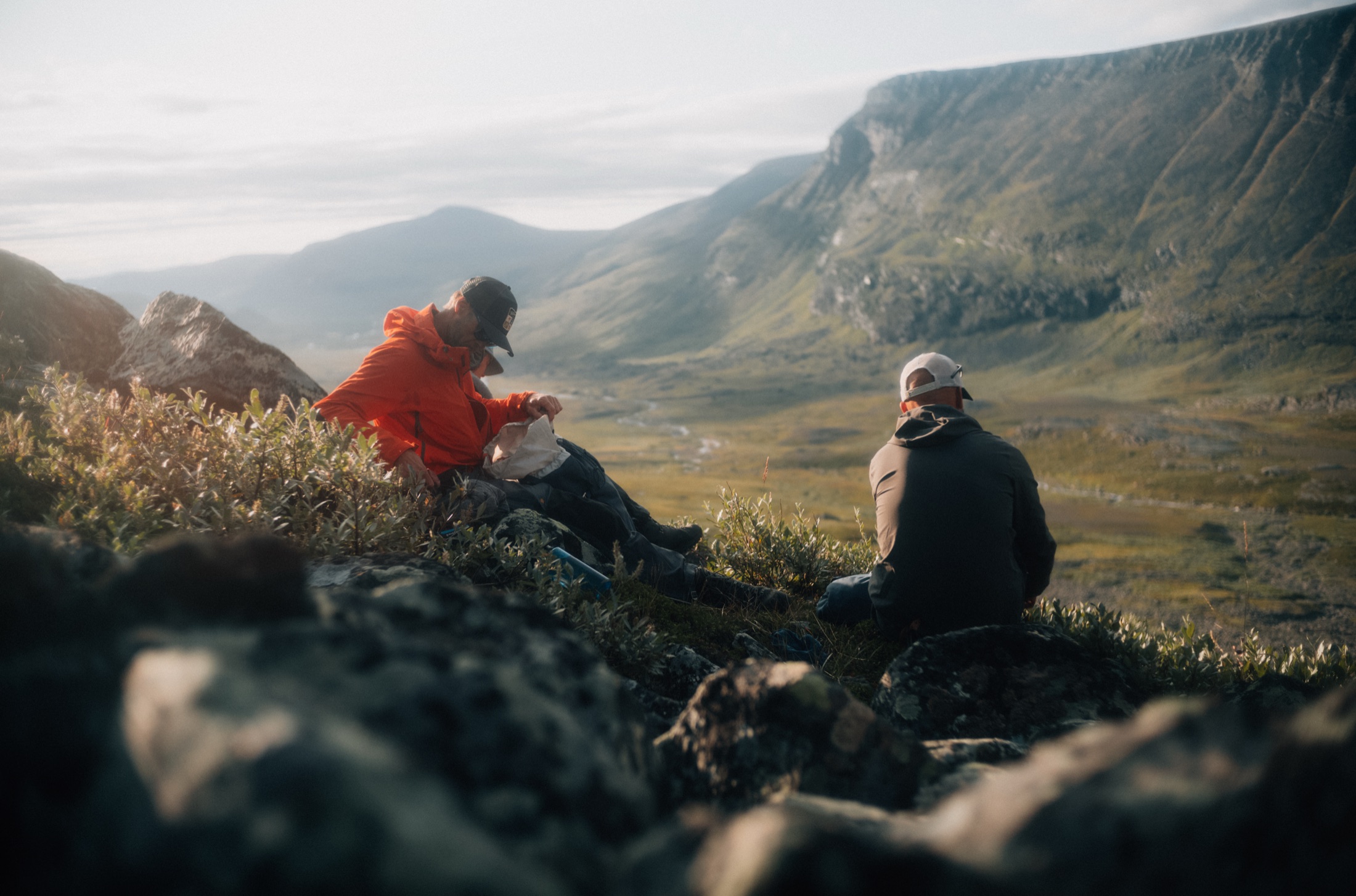 Fjällandskap